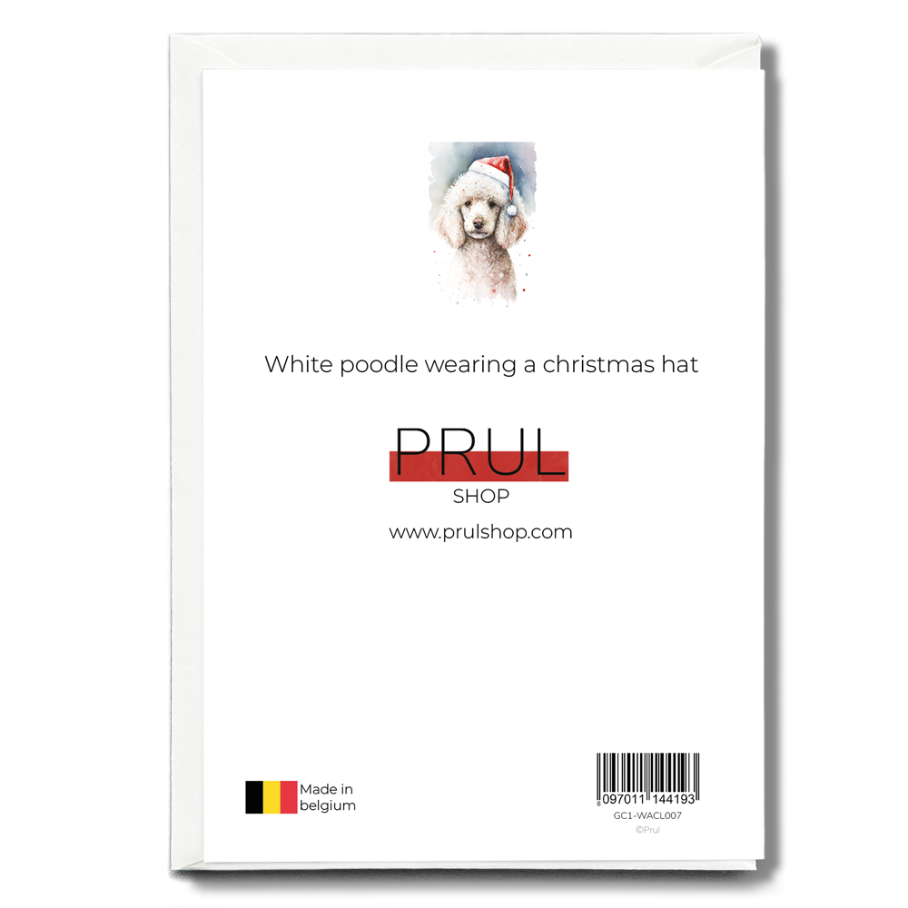 White poodle wearing a christmas hat - Greeting Card