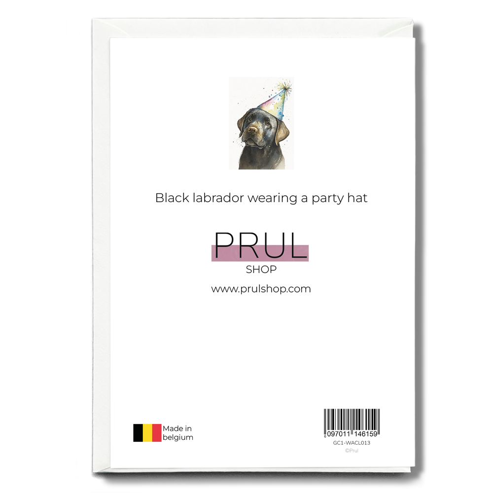 Black labrador wearing a party hat - Greeting Card