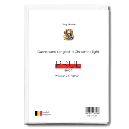 Dachshund tangled in Christmas light - Greeting Card