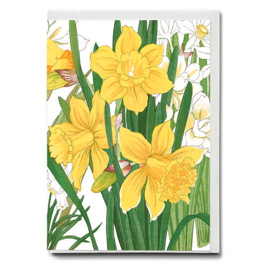 Daffodil By Tanigami Kônan - Wenskaart