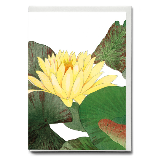 Nymphaea Lotus By Tanigami Kônan - Wenskaart