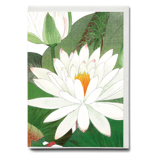 Witte lotus By Tanigami Kônan - Wenskaart