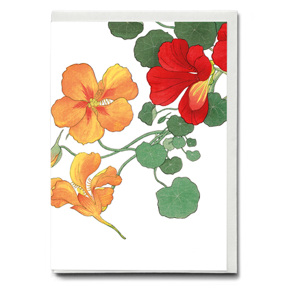 Nasturtium flower By Tanigami Kônan - Wenskaart