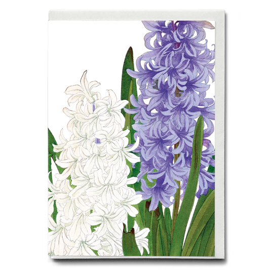 Hyacinthus By Tanigami Kônan - Wenskaart