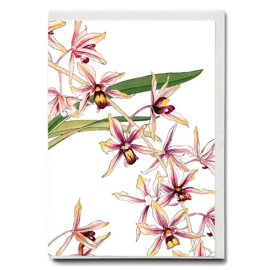 Cymbidium Orchid By Tanigami Kônan - Wenskaart