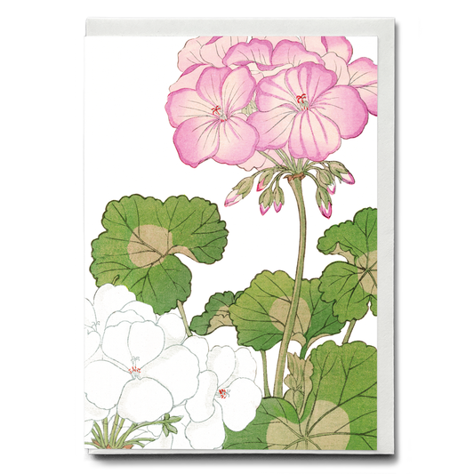 White & Pink Geranium By Tanigami Kônan - Wenskaart