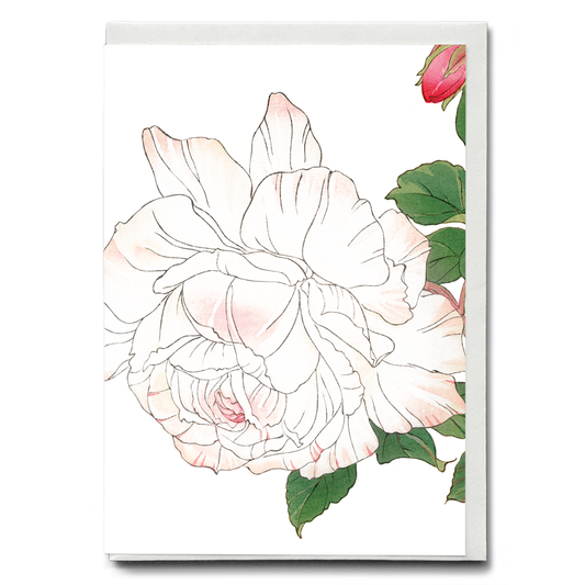 White Rose By Tanigami Kônan - Wenskaart