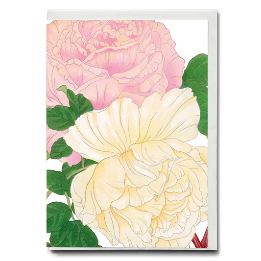 Pink & White Roses By Tanigami Kônan - Wenskaart