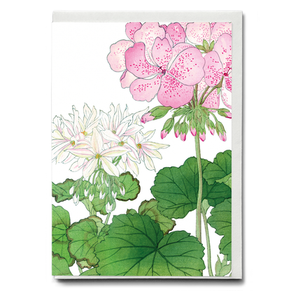 Geranium By Tanigami Kônan - Wenskaart