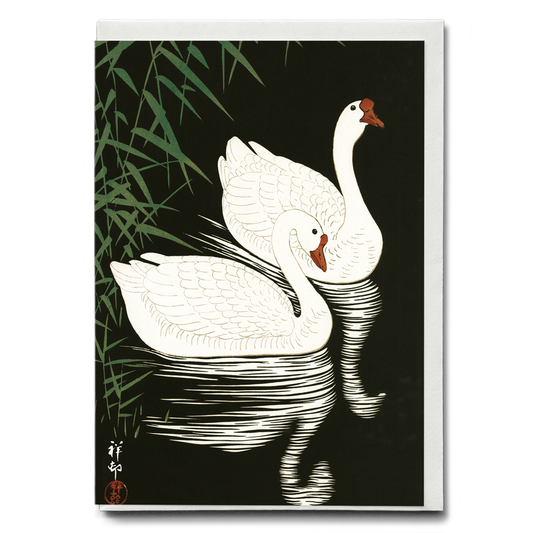 White Chinese Geese Swimming by Reeds By Ohara Koson - Greeting Card
