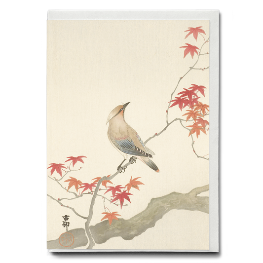 Japanese plague bird on maple By Ohara Koson - Greeting Card