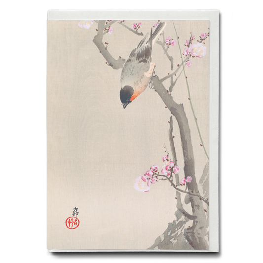 Bullfinch perched on a flowering plum tree By Ohara Koson - Greeting Card