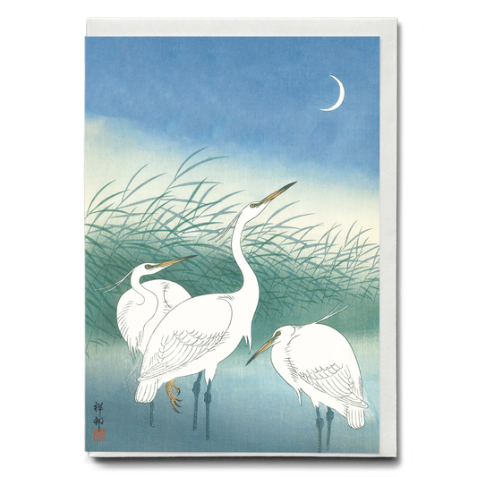 Herons in shallow water By Ohara Koson - Greeting Card