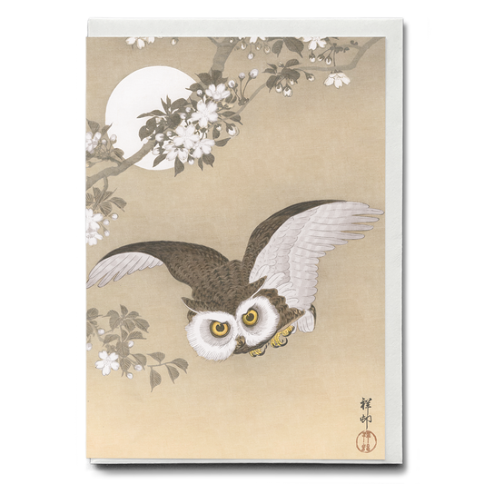 Scops Owl Flying Under Cherry blossoms By Ohara Koson - Greeting Card