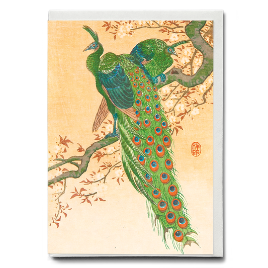 Peacock and Peahen on Branch By Ohara Koson - Greeting Card