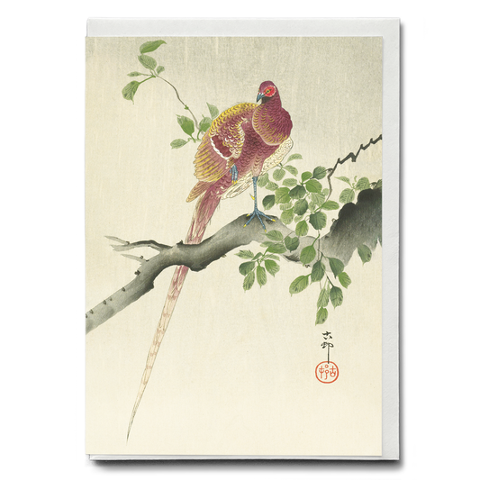 Copper Pheasant By Ohara Koson - Greeting Card