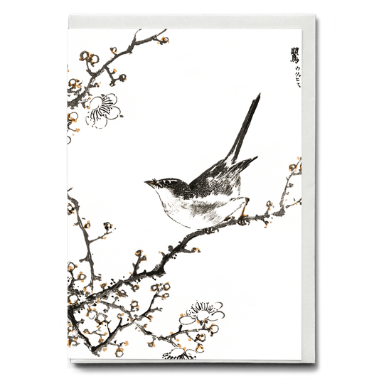 Bush-warbler and White Plum Tree By Numata Kashu - Greeting Card