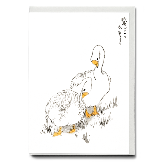 Duck and Young Grass By Numata Kashu - Greeting Card