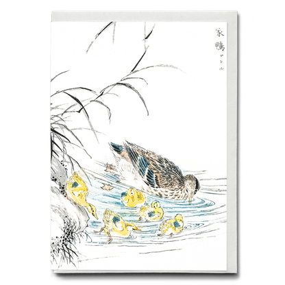 Duck By Numata Kashu - Greeting Card