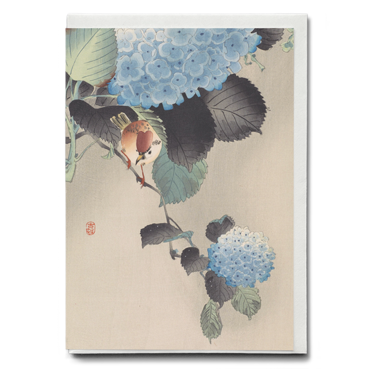 Sparrow and blue-white hortensia by Ohara Koson  - Greeting Card