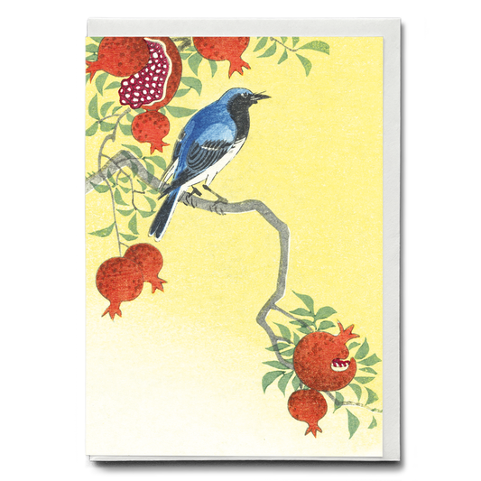 Blue robin perched on a pomegranate tree - Greeting Card