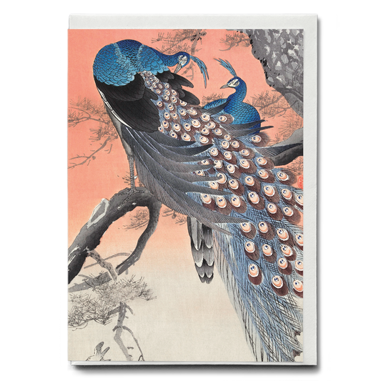 Two peacocks on tree branch (1900 - 1930) by Ohara Koson  - Greeting Card