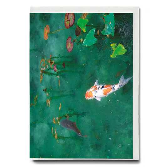 Koi Fish Serenity in the Water - Greeting Card