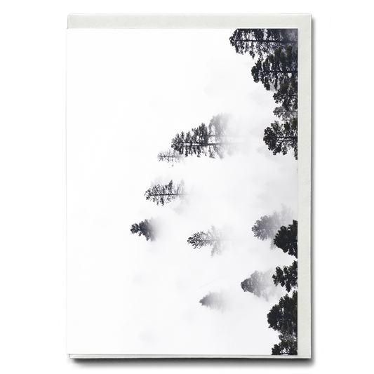 Trees Amidst the Mysterious Mist - Greeting Card