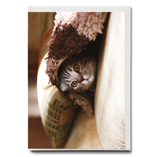 Cute cat hiding under blanket - Greeting Card