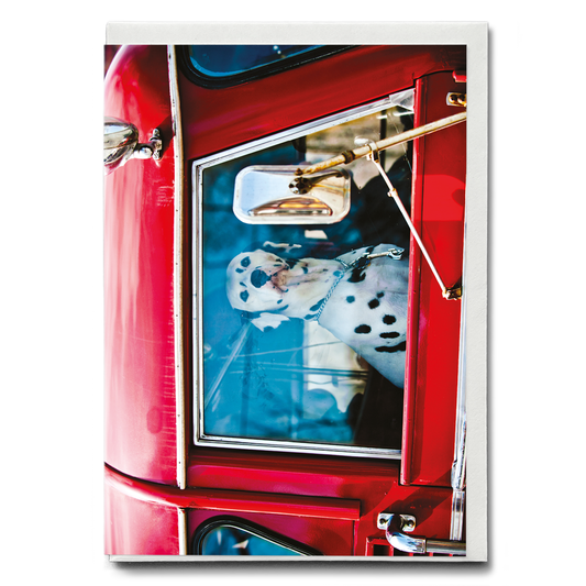 Dalmatian sitting in red car - Greeting Card
