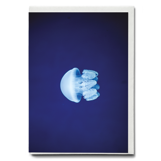 jelly fishes - Greeting Card