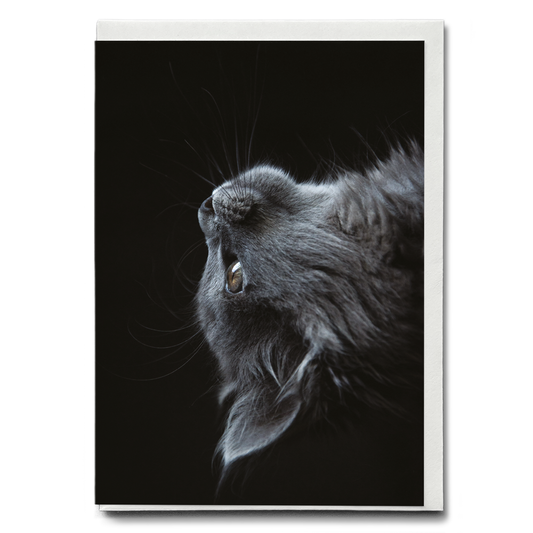 Cute gray cat - Greeting Card