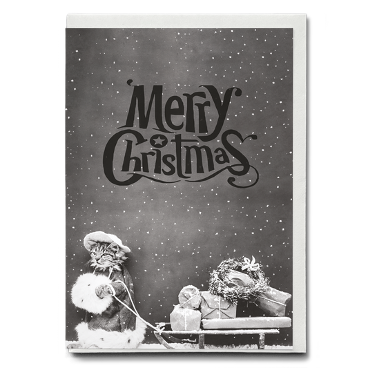 Santa Cat (Merry Christmas) - Greeting Card