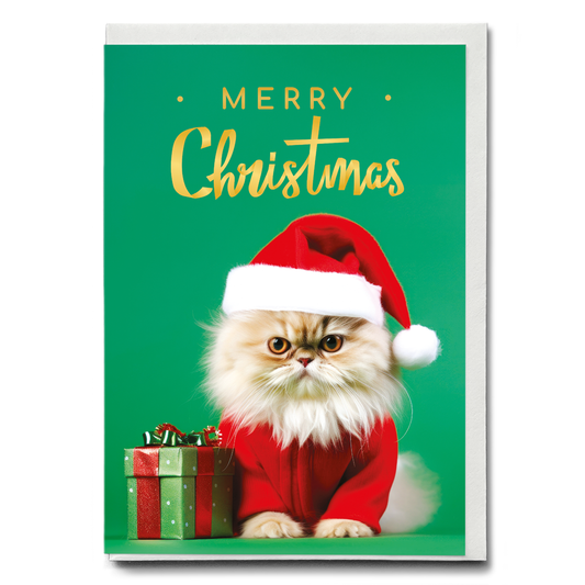 Merry Christmas Little cat with a gift - Greeting Card