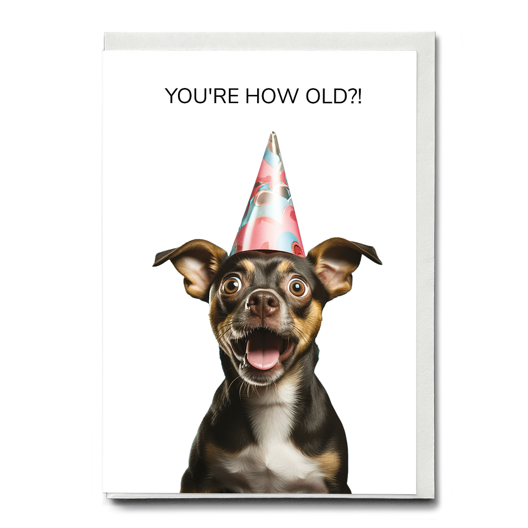 You're how old?! (Dog) - Greeting Card