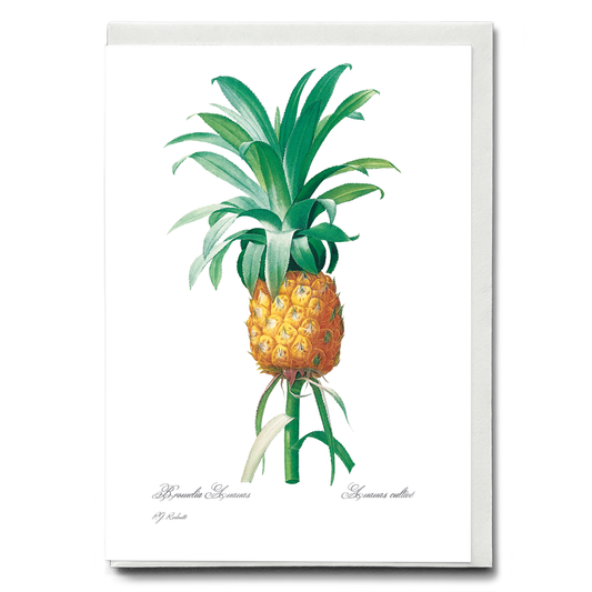 Pineapple By Pierre-Joseph Redouté - Wenskaart