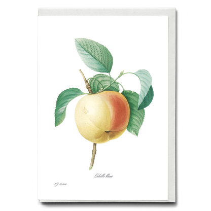 Apple by Pierre-Joseph Redouté - Wenskaart