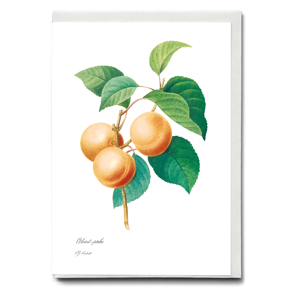 Peaches by Pierre-Joseph Redouté - Wenskaart