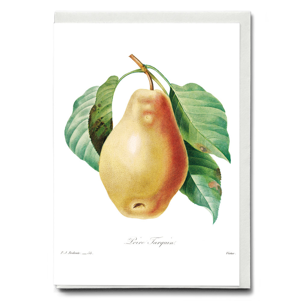 Pear by Pierre-Joseph Redouté - Wenskaart