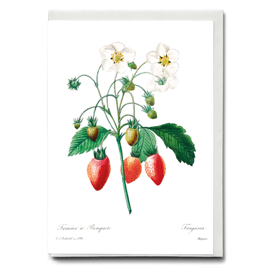 Strawberry by Pierre-Joseph Redouté - Wenskaart