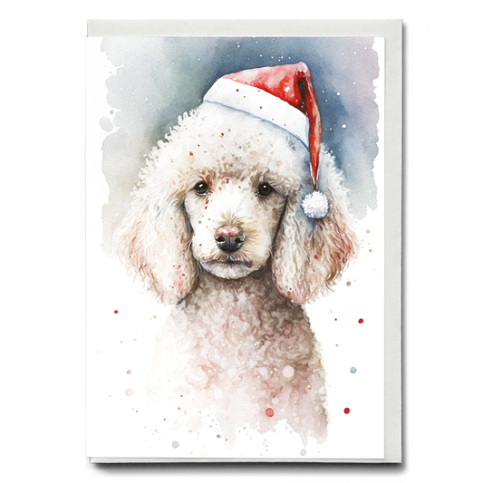 White poodle wearing a christmas hat - Greeting Card