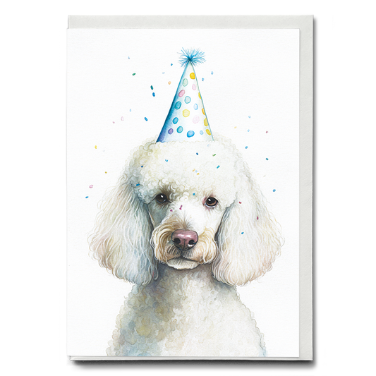 White poodle wearing a party hat - Greeting Card