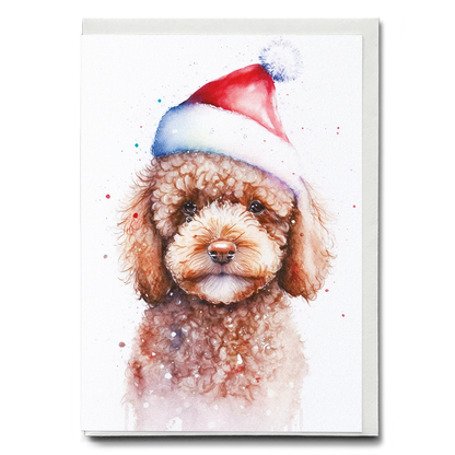 Brown poodle wearing a Christmas hat - Greeting Card