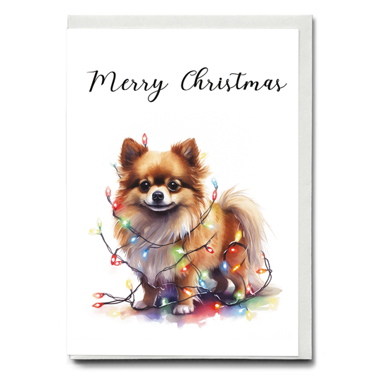 Pomeranian tangled in Christmas light - Greeting Card