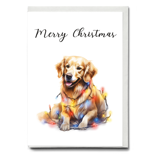 Golden retriever tangled in Christmas light - Greeting Card