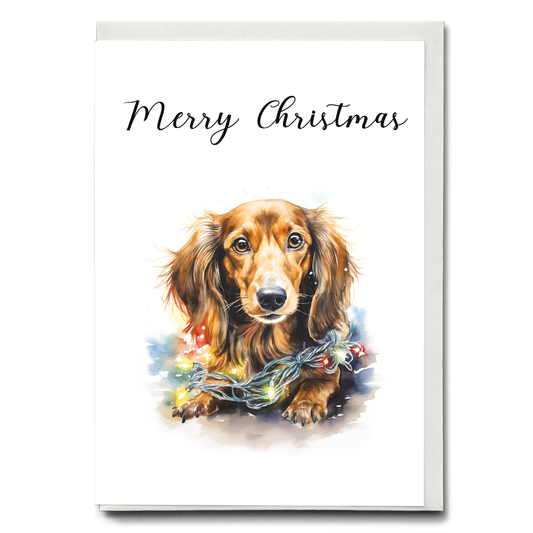 Dachshund tangled in Christmas light - Greeting Card