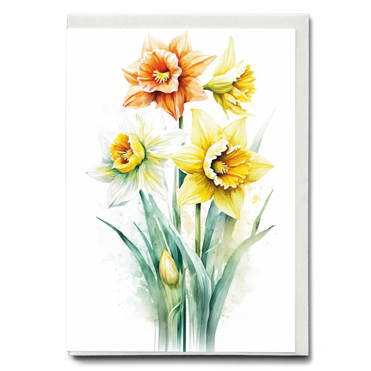 Daffodils III - Wenskaart