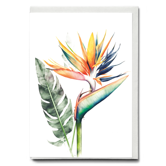 Strelitzia II - Wenskaart