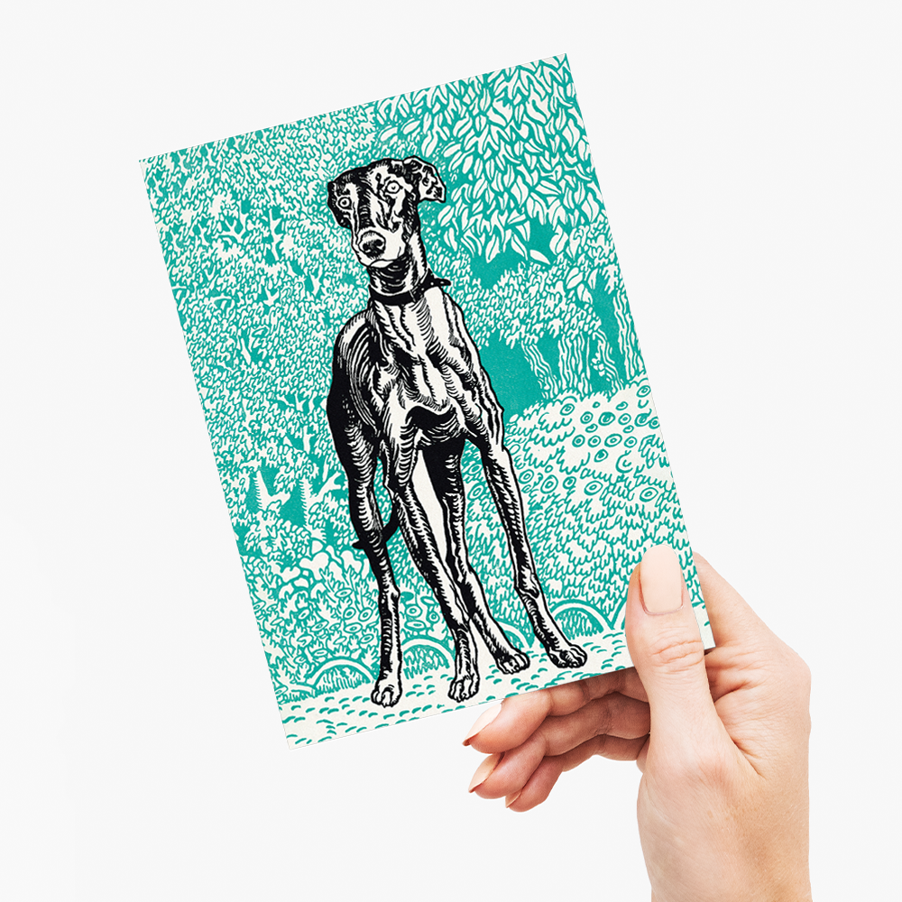 Greyhound By Moriz Jung - Greeting Card