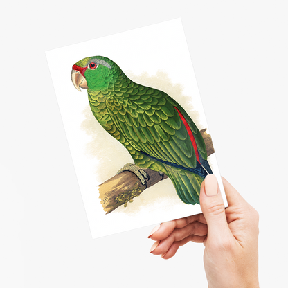 Festive Amazon Parrot - Wenskaart